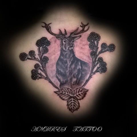 HoleySkinGloucesterRoad