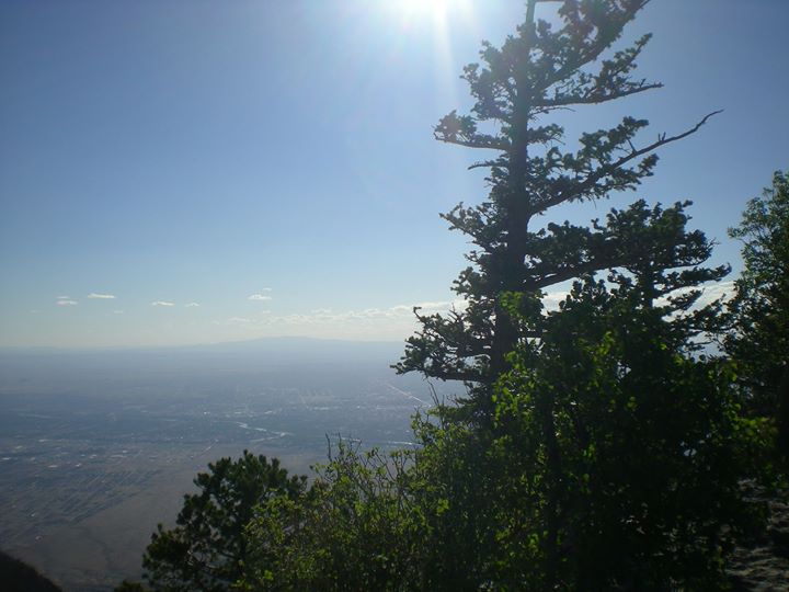 422281481280061 422281481280061