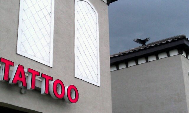 Diamondtattoossummerfield