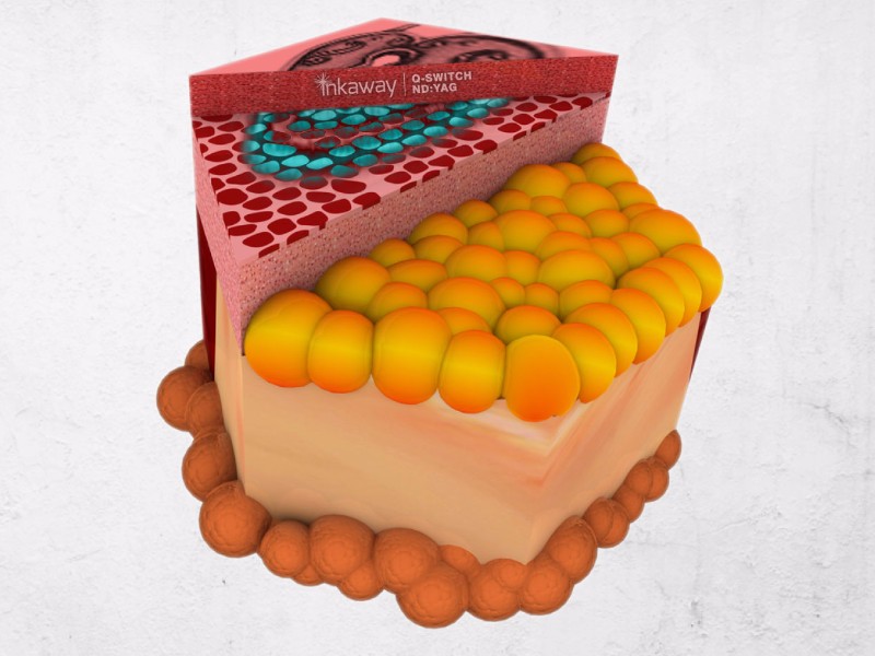 HPT16_inkaway_skin_cross_Section_V1.1.0