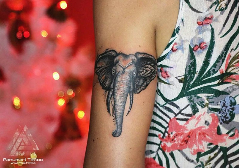 23517985_1653109401406962_1444935999576364190_n