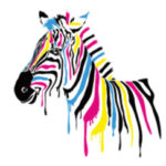 Profile picture of Kobe