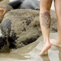 lion tattoo 