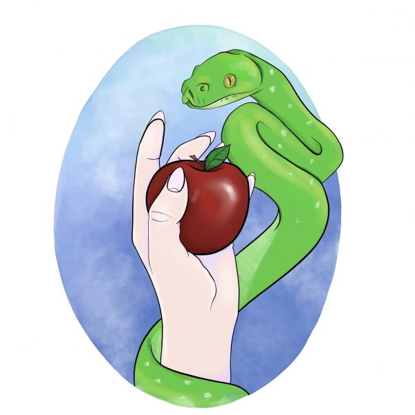 C855B956-E685-4FB4-8F4C-CA3756008E13