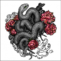 i_like_a_little_conflictpt10keelbackalone 