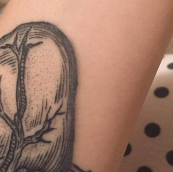 391A882E-8777-47EB-9611-E7B2BD17CF20