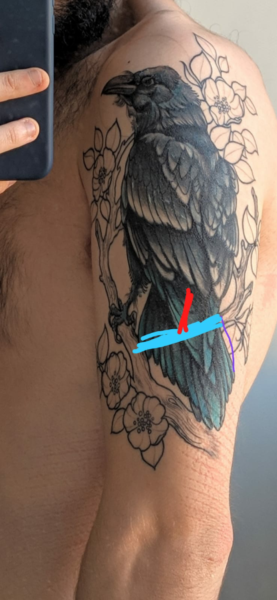 Screenshot_2019-10-22-12-31-07-229_com.whatsapp