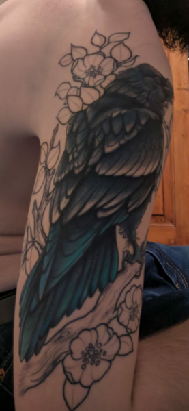 Screenshot_2019-10-22-12-31-12-849_com.whatsapp