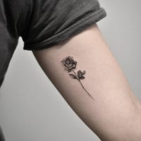 rose Tattoos 