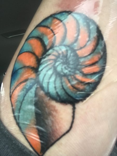 B432E77E-0818-4C63-B798-00F47D33C7AA