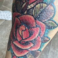 tattoo healing