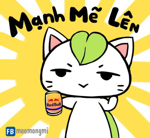 1918848_1693704330907001_1785485155538706300_n